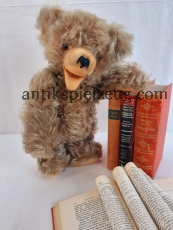 Teddy Bär teddy bear toy Spielzeug Glasaugen weich gestopft Zottelfell kuschelig