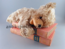 Teddy süß Teddybär teddy bear Toy kuschelig weich gestopft Glasaugen alt antik