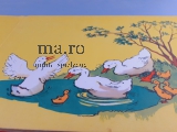 Buch Kinderbuch DDR HOPPE HOPPE REITER 50er/60er Hardcover Pappseiten Geschichte