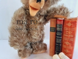 Teddy Bär teddy bear toy Spielzeug Glasaugen weich gestopft Zottelfell kuschelig