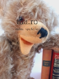Teddy Bär teddy bear toy Spielzeug Glasaugen weich gestopft Zottelfell kuschelig