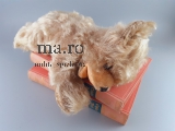 Teddy süß Teddybär teddy bear Toy kuschelig weich gestopft Glasaugen alt antik