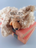 Teddy süß Teddybär teddy bear Toy kuschelig weich gestopft Glasaugen alt antik