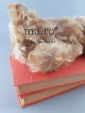 Teddy süß Teddybär teddy bear Toy kuschelig weich gestopft Glasaugen alt antik