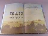 Buch Kinderbuch DDR DIE GESCHICHTE VOM KLEINEN WRUK 1981 Hardcover Geschichte